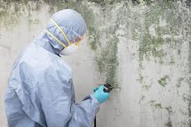 Best Mold Removal for HVAC Installations  in Franklinton, LA